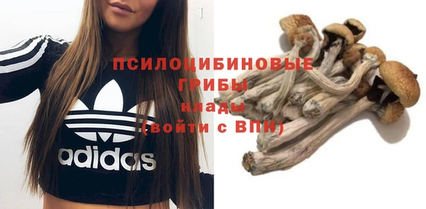 спайс Балахна