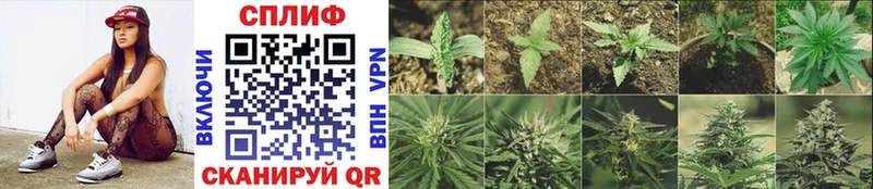 МАРИХУАНА THC 21%  где продают наркотики  hydra зеркало  Лангепас 